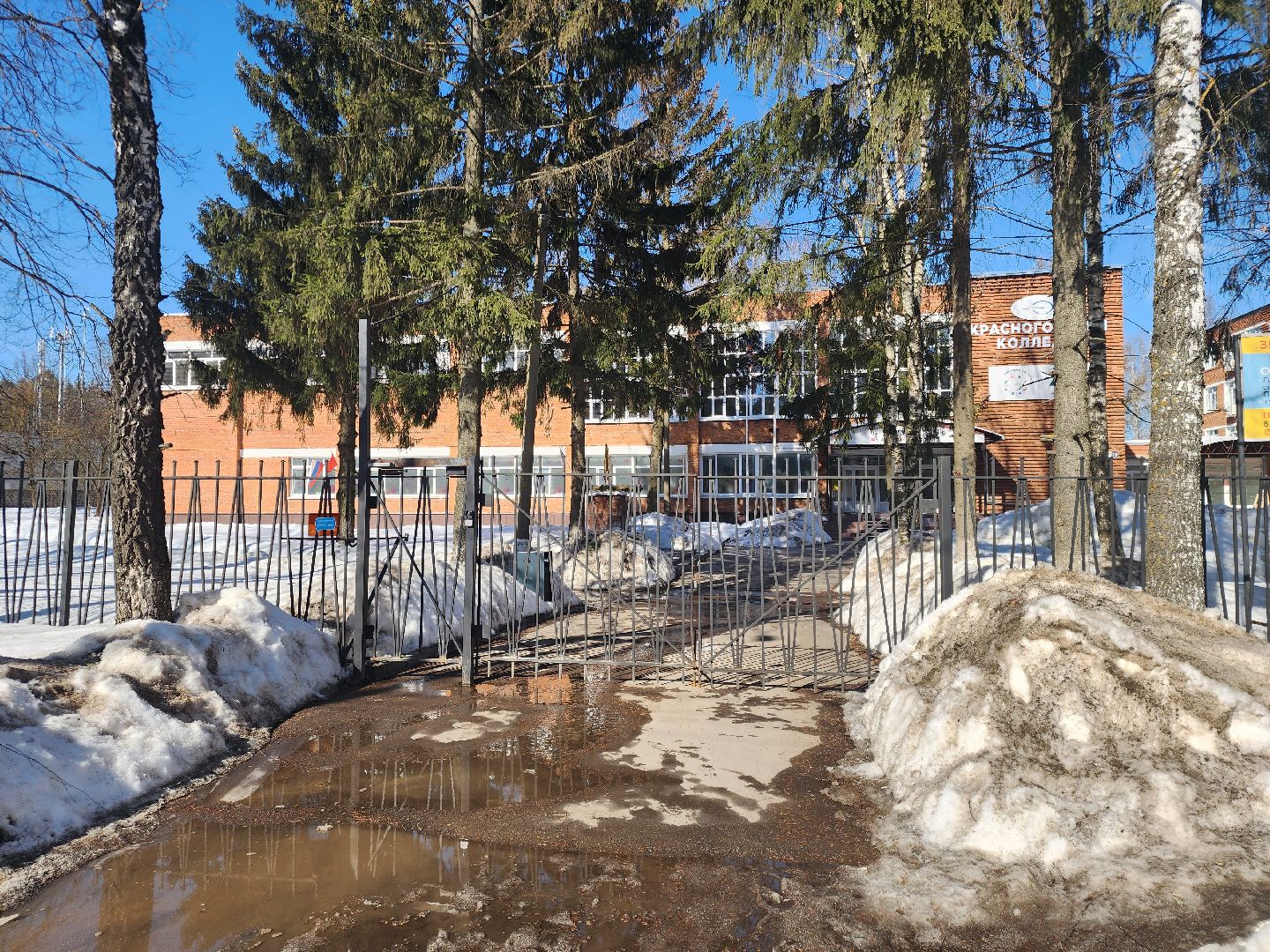 Президентские выборы, звенигород,