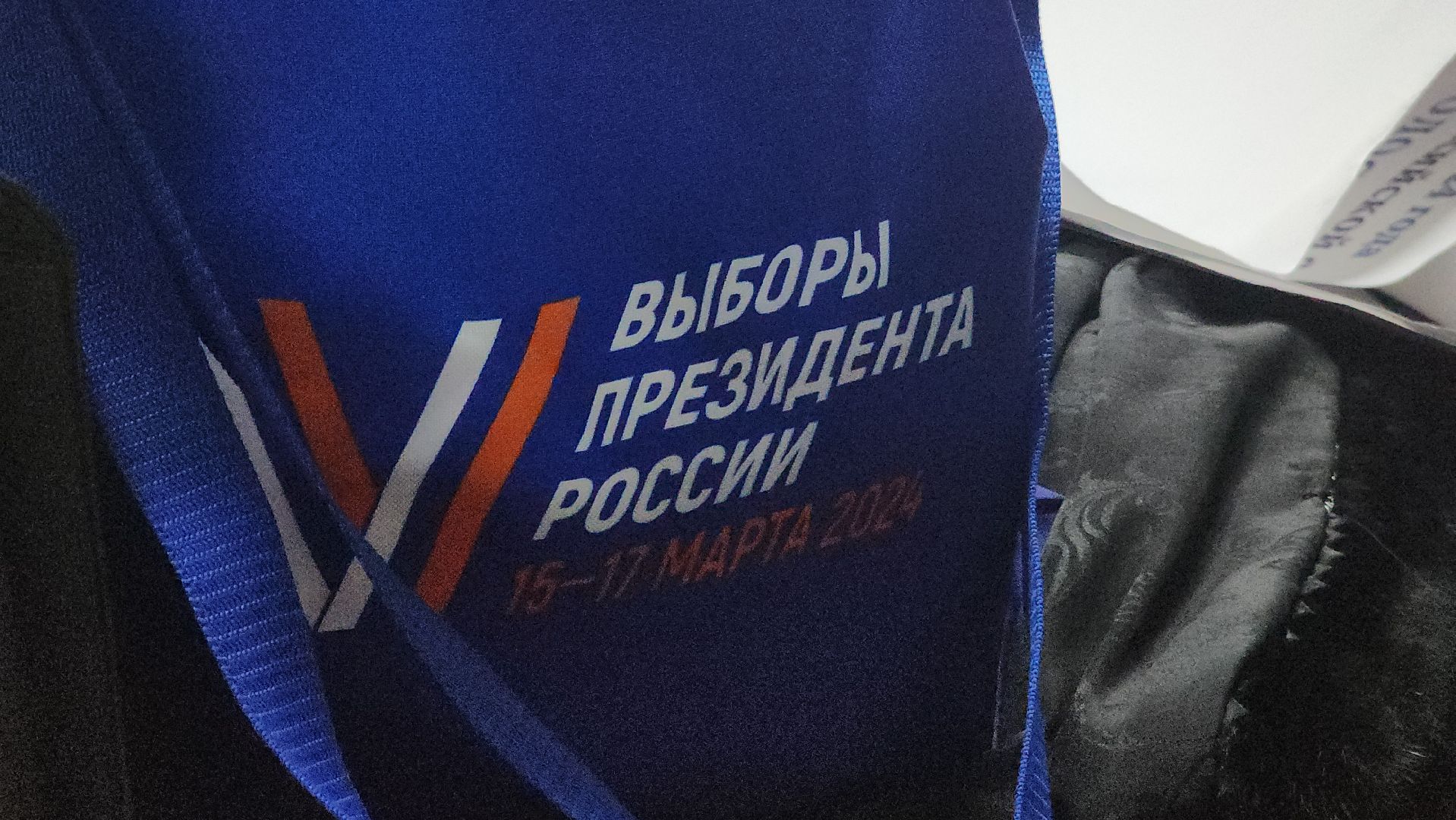 Павловский Посад, уик, Выборы, городского округ павловский посад, Люди, Избиратели,