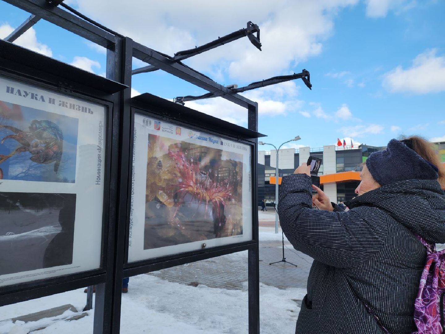 пущино, наука, фото, выставка, биология,