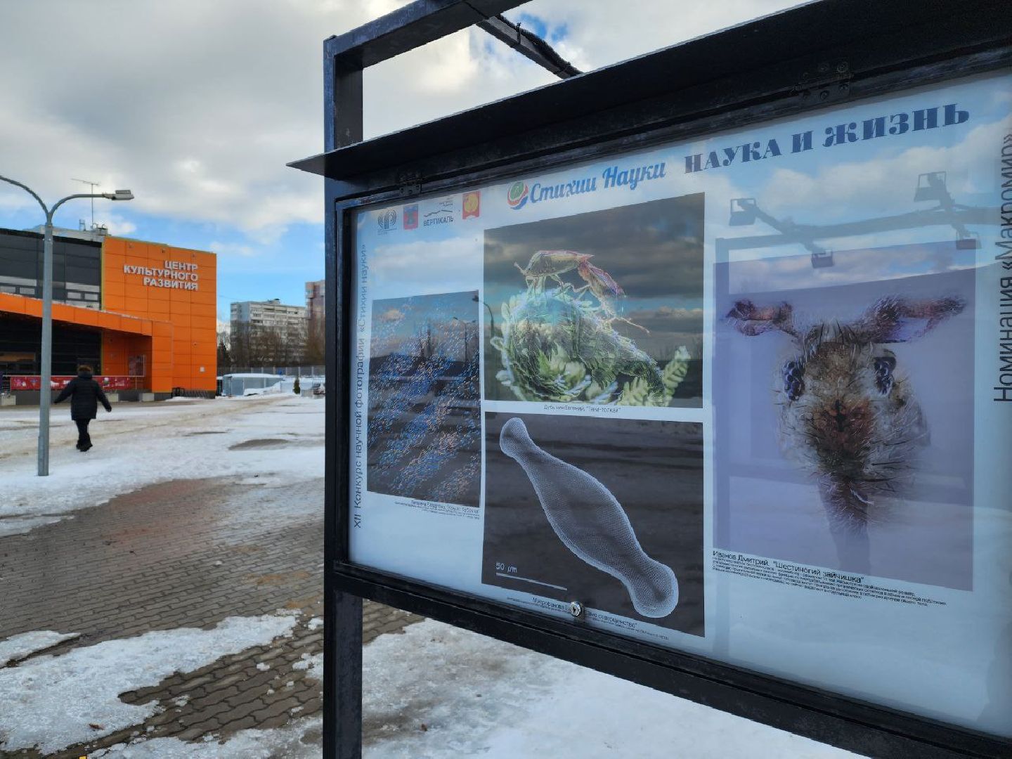 пущино, наука, фото, выставка, биология,