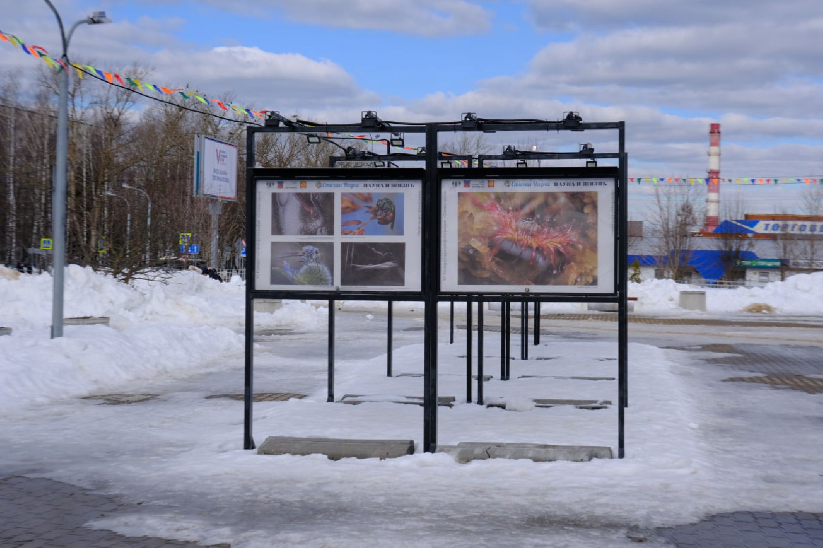 пущино, наука, фото, выставка, биология,