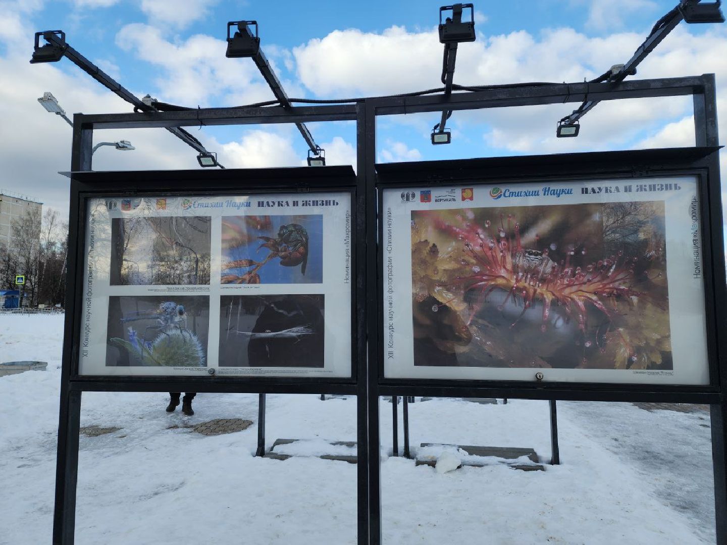 пущино, наука, фото, выставка, биология,