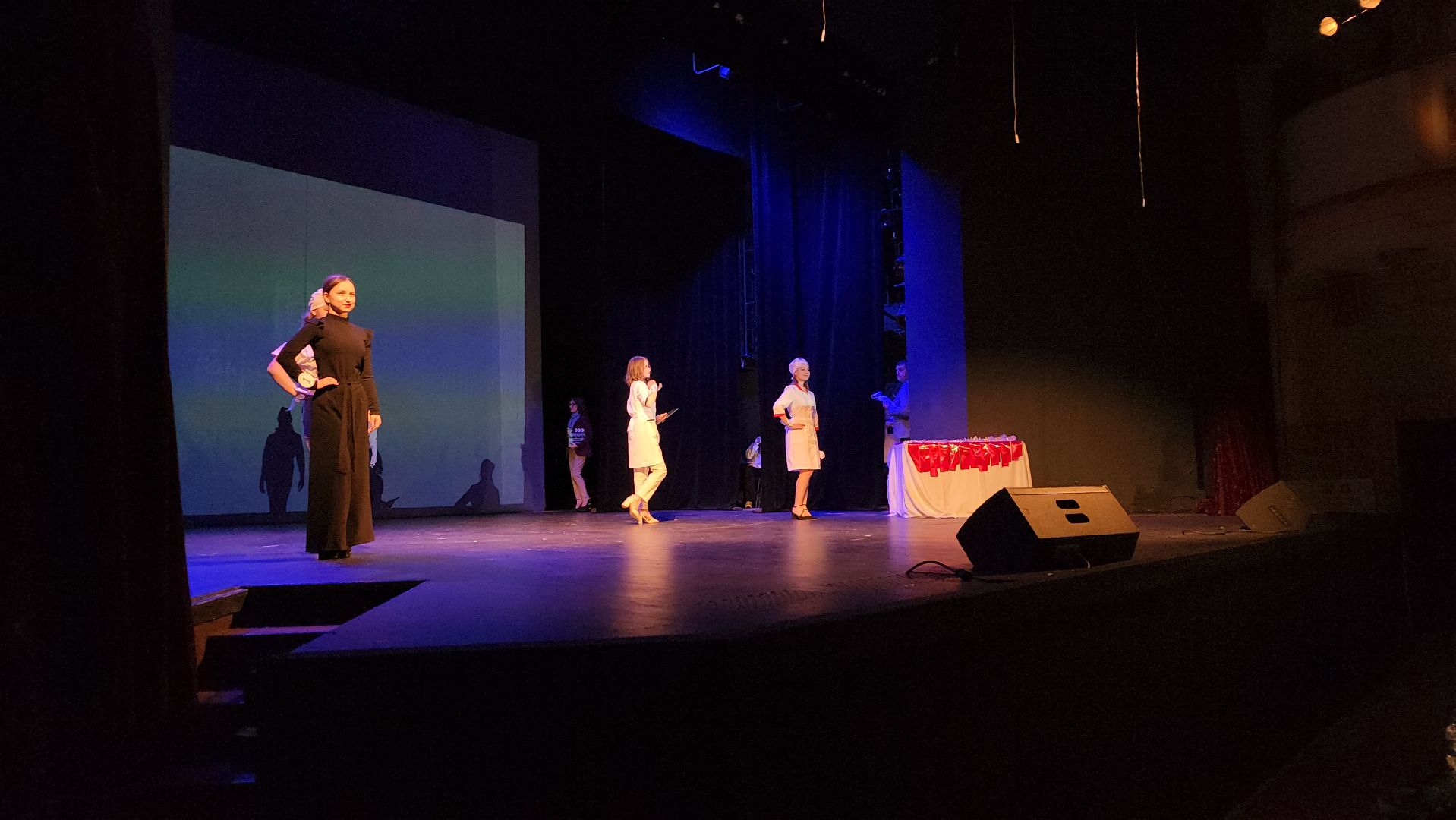 Общественная палата, социальный проект, Богородская леди, Ногинск, Богородский городской округ,