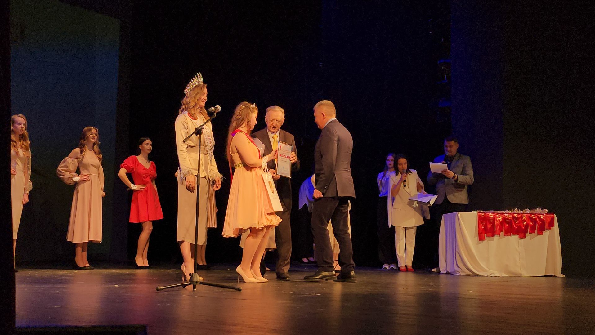 Общественная палата, социальный проект, Богородская леди, Ногинск, Богородский городской округ,