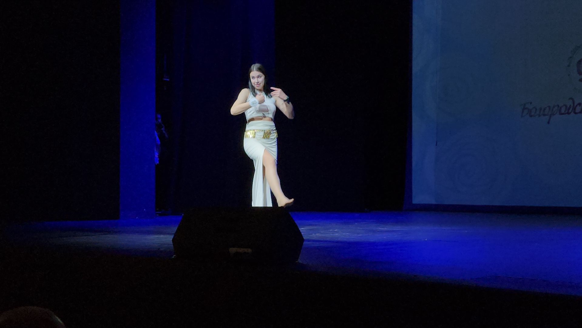 Общественная палата, социальный проект, Богородская леди, Ногинск, Богородский городской округ,