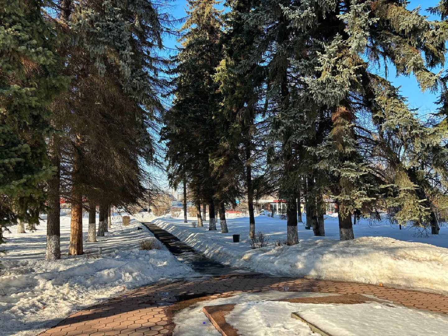 выездная администрация, Белые столбы, Домодедово,