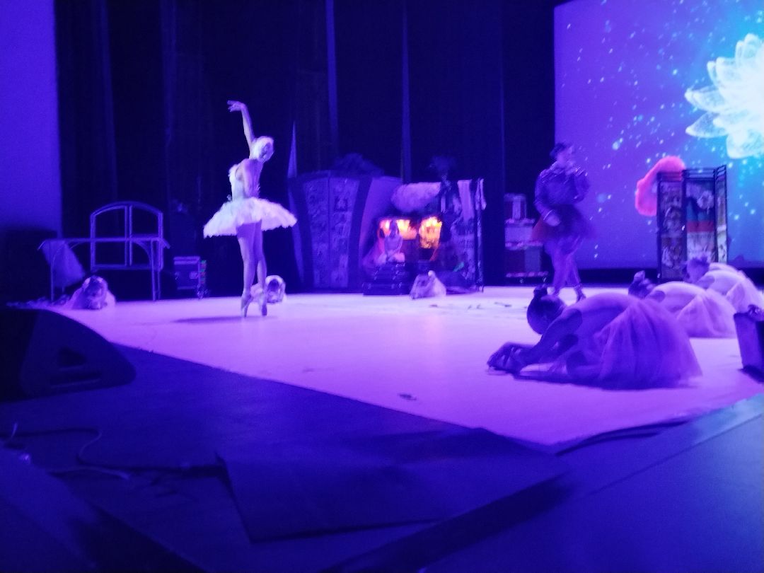 Анастасия Волочкова, Мытищи, танцы, шоу