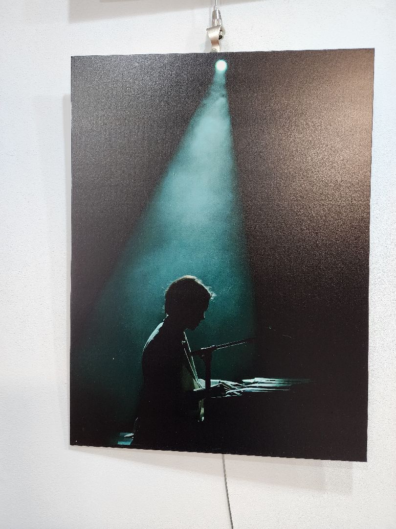 пушкино, фотовыставка, нежный бизнес, фотогорафия, творчество,