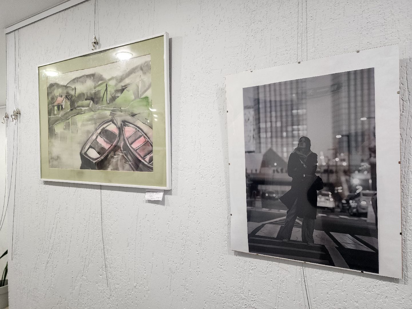 пушкино, фотовыставка, нежный бизнес, фотогорафия, творчество,