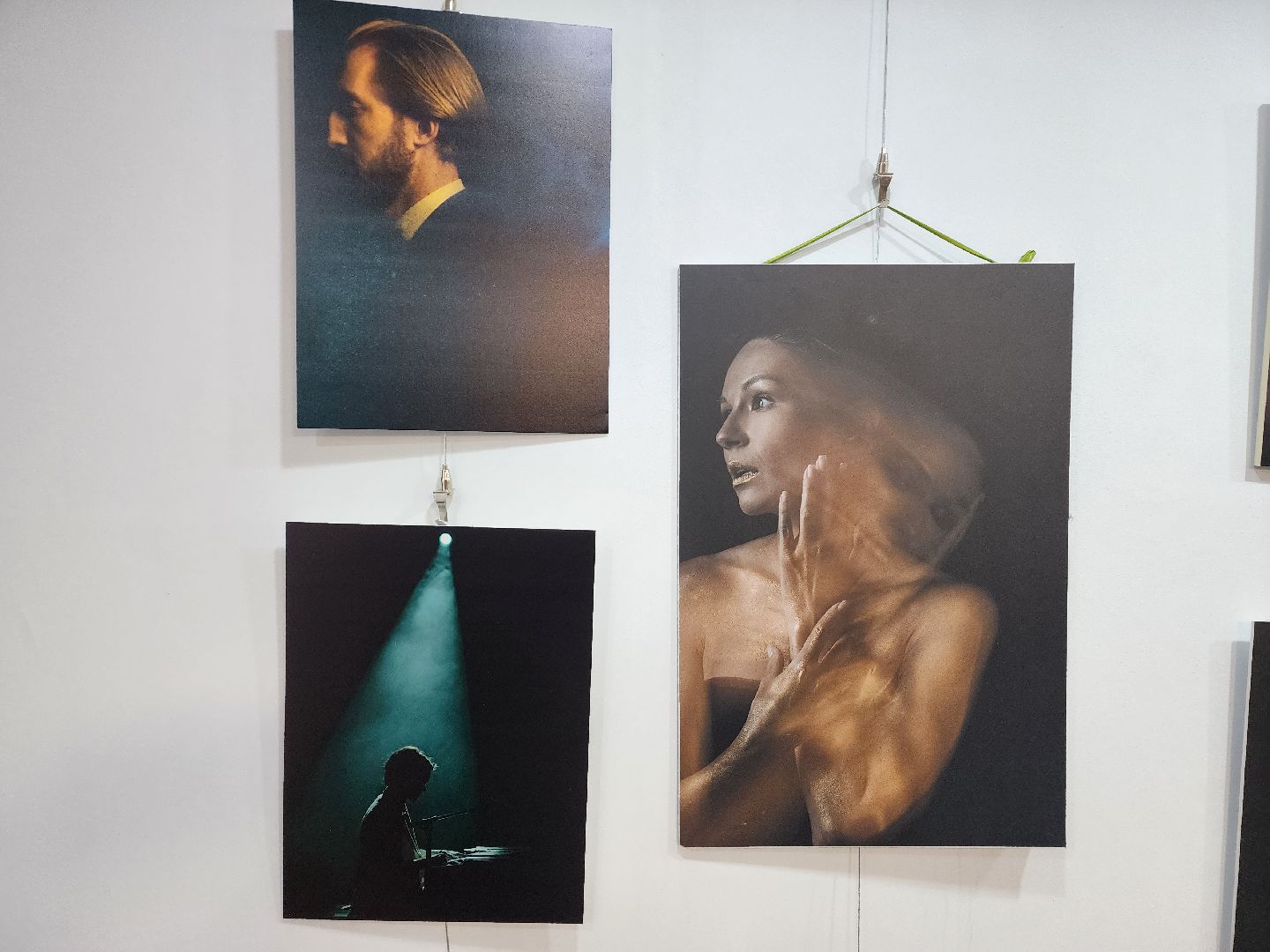 пушкино, фотовыставка, нежный бизнес, фотогорафия, творчество,