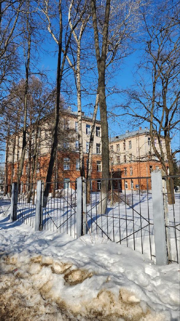 выбооры президента, школа 8, Фрунзе 8, УИК 621, Виталий Матвеев,