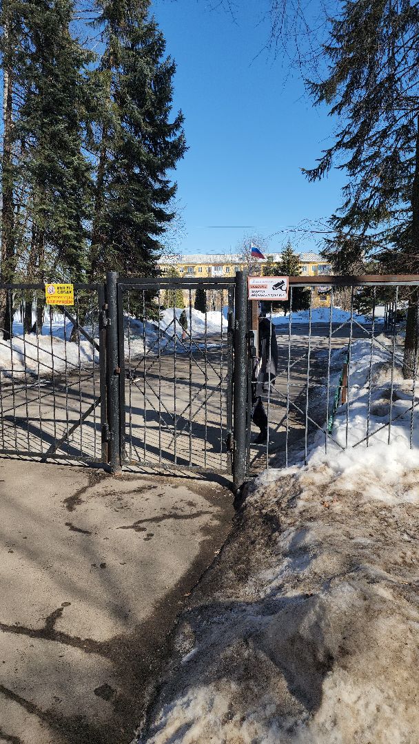 выбооры президента, школа 8, Фрунзе 8, УИК 621, Виталий Матвеев,