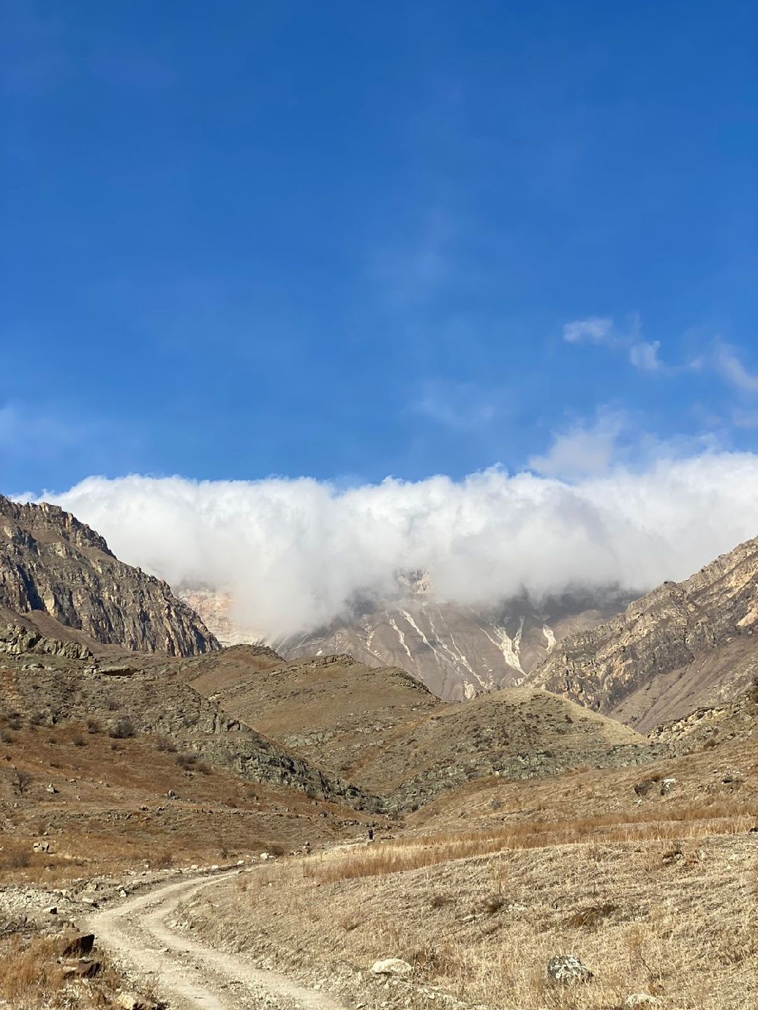 Солнечногорск, Спорт, серебро, марафон, Дагестан, бег, горы