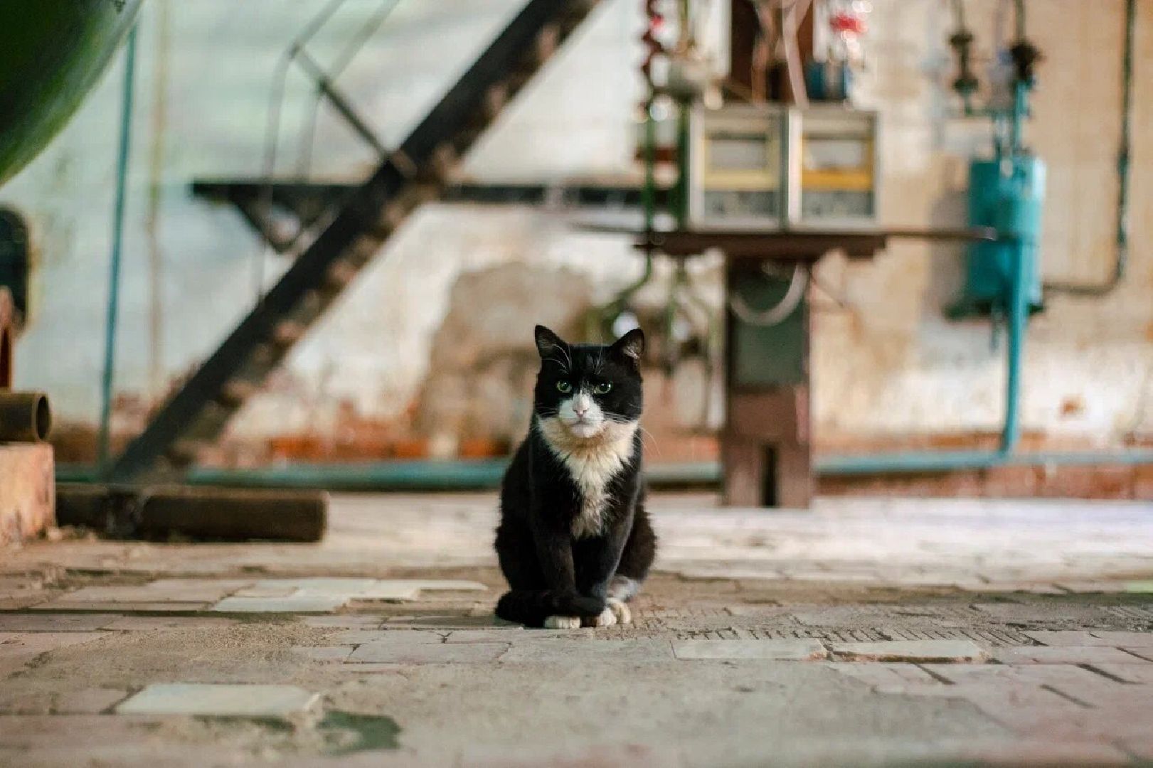 ремонт котельной, ЖКХ, Домодедово,
