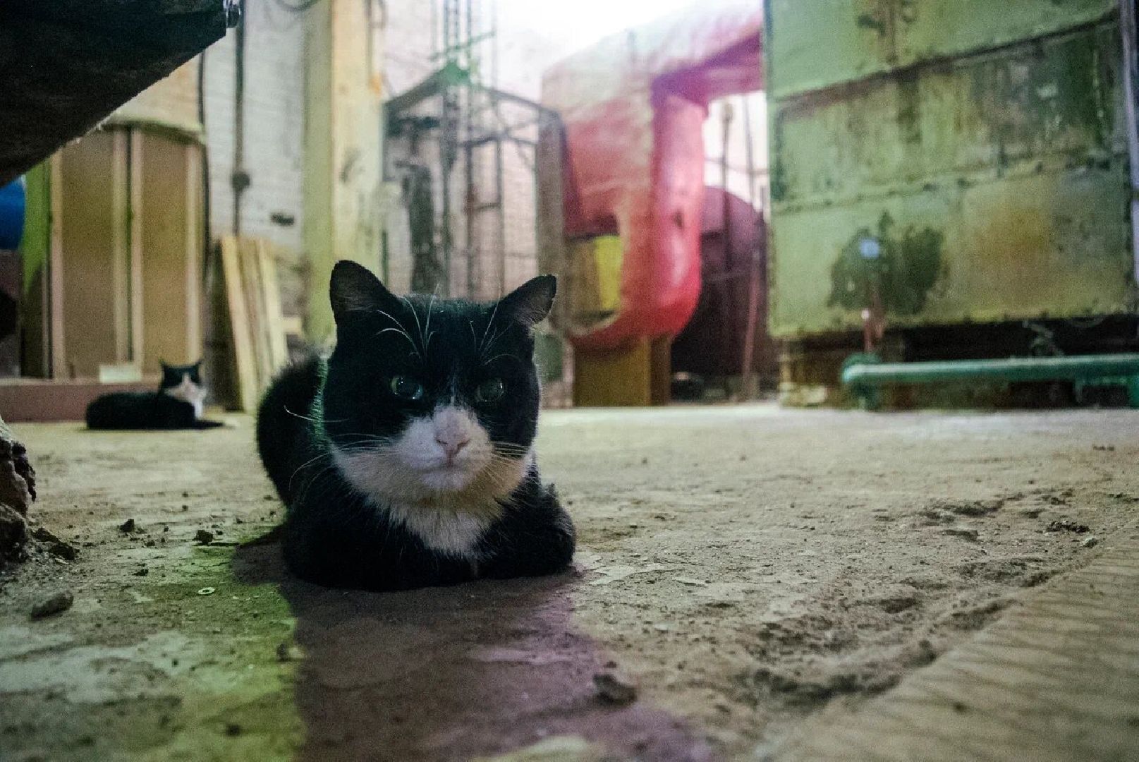 ремонт котельной, ЖКХ, Домодедово,