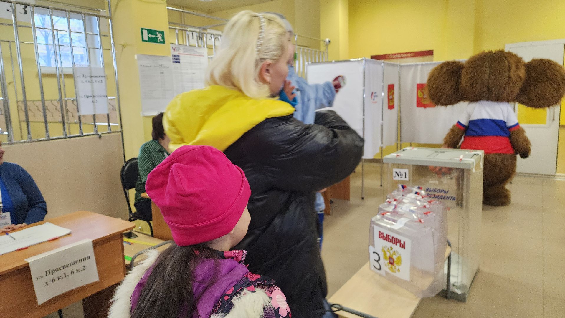 Подмосковье, Городской округ Пушкинский, Выборы,