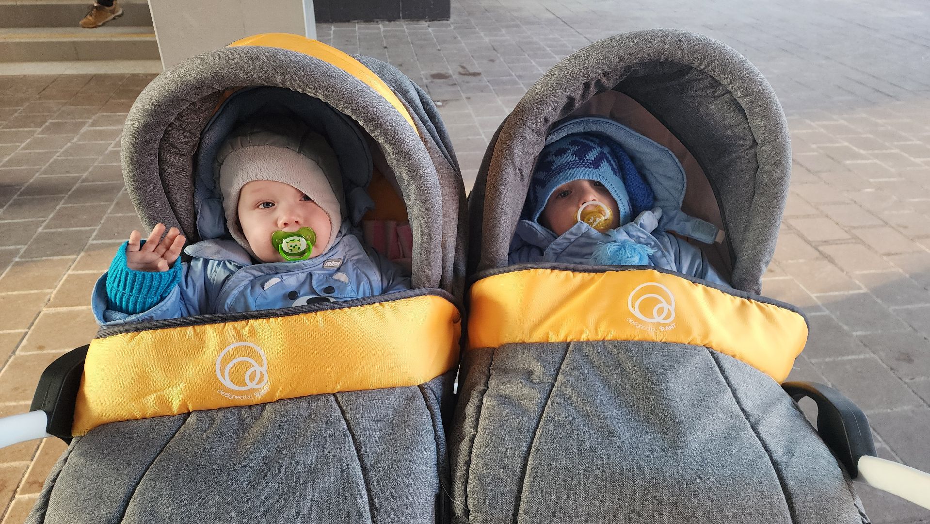 Подмосковье, Городской округ Пушкинский, Выборы,