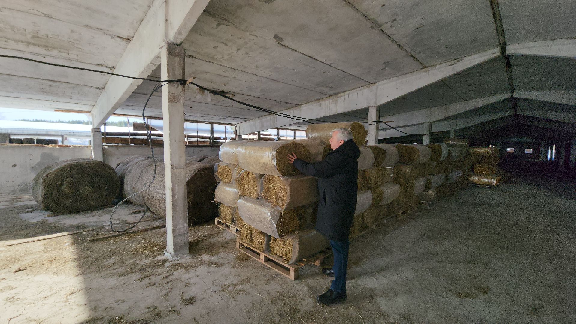 серпухов, туровский, игумново, агрокомплекс, заготовка сена, сельское хозяйство,