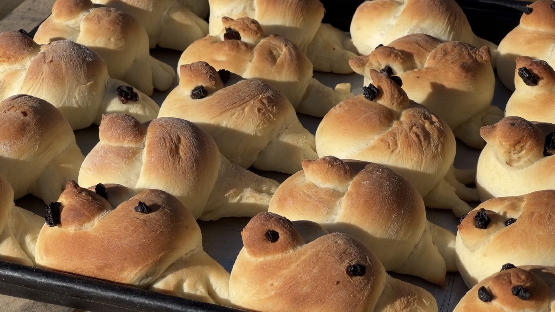 химки, масленица, музей, дети,