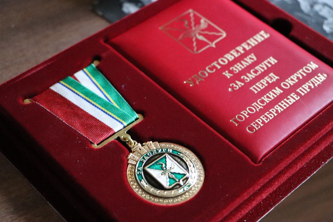 Серебряные Пруды, библиотека, образование