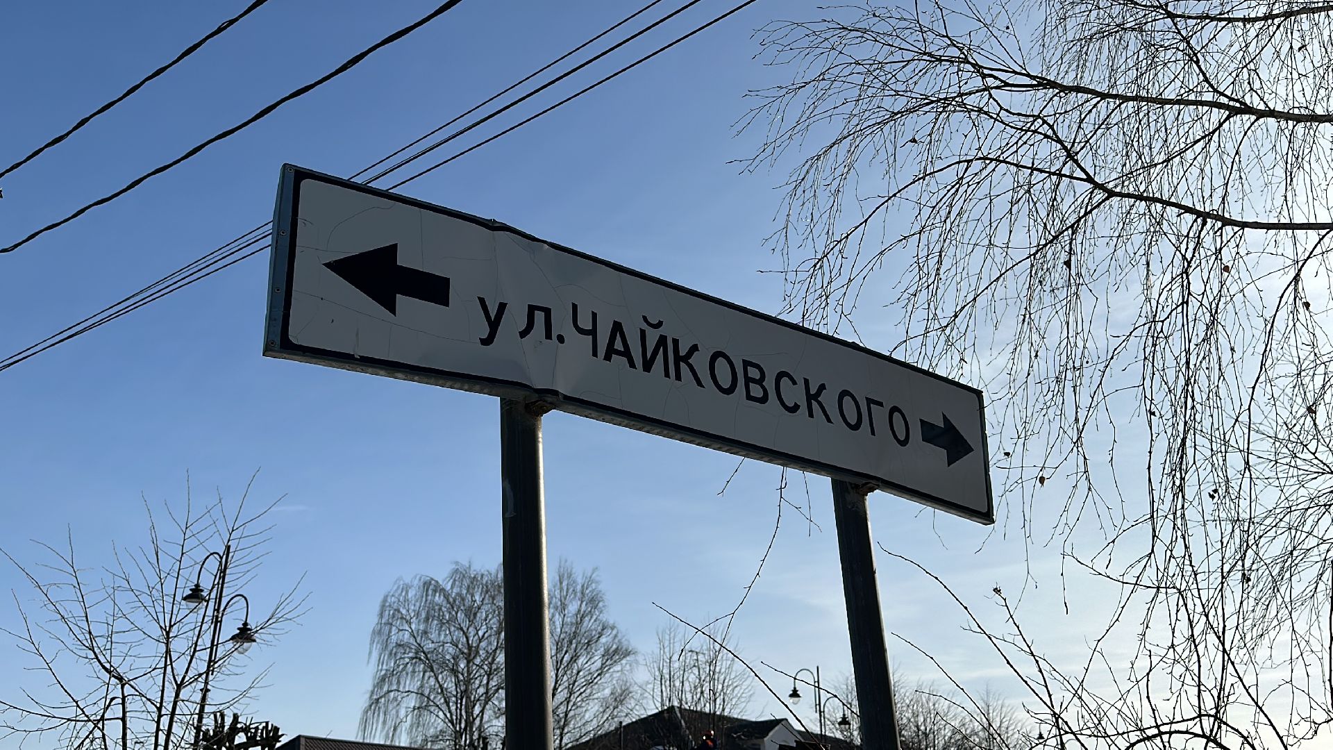 Клин, общество, опиловка деревьев, ЖКХ,