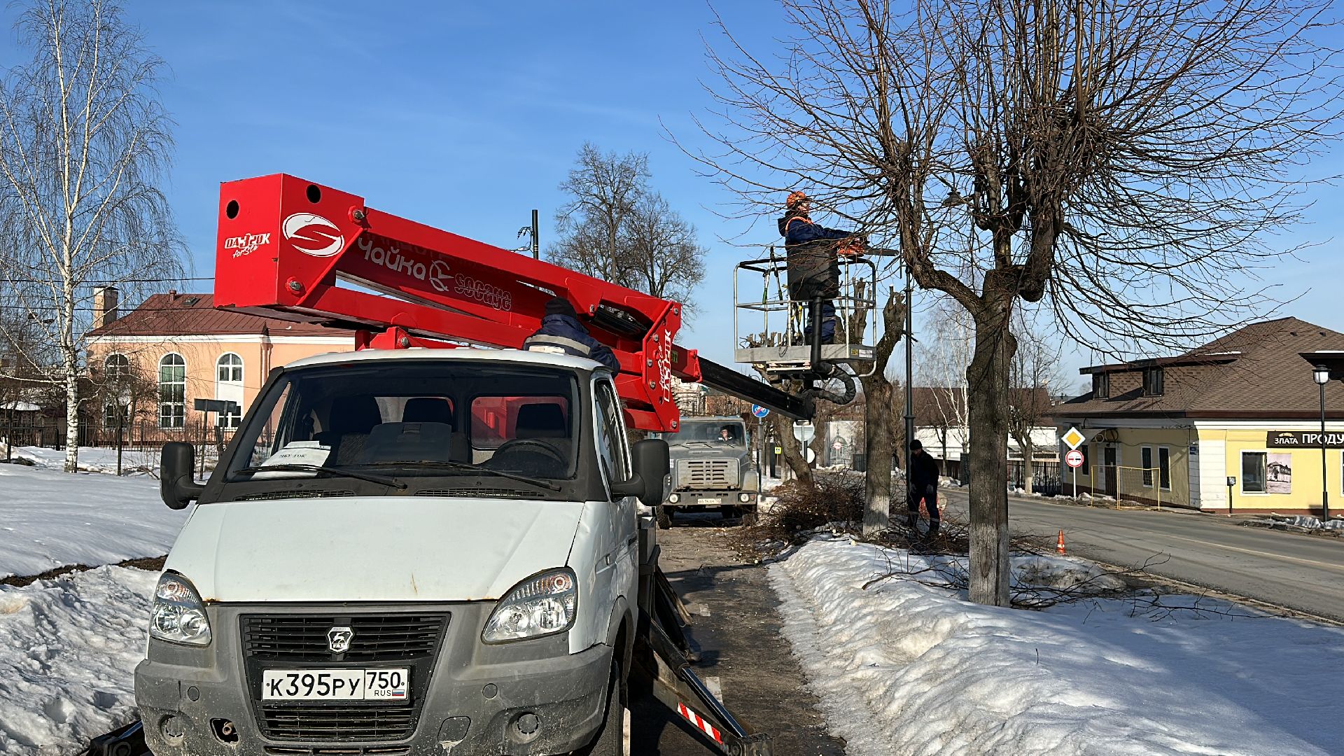 Клин, общество, опиловка деревьев, ЖКХ,
