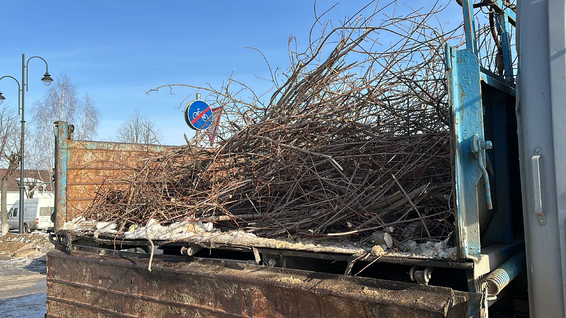 Клин, общество, опиловка деревьев, ЖКХ,