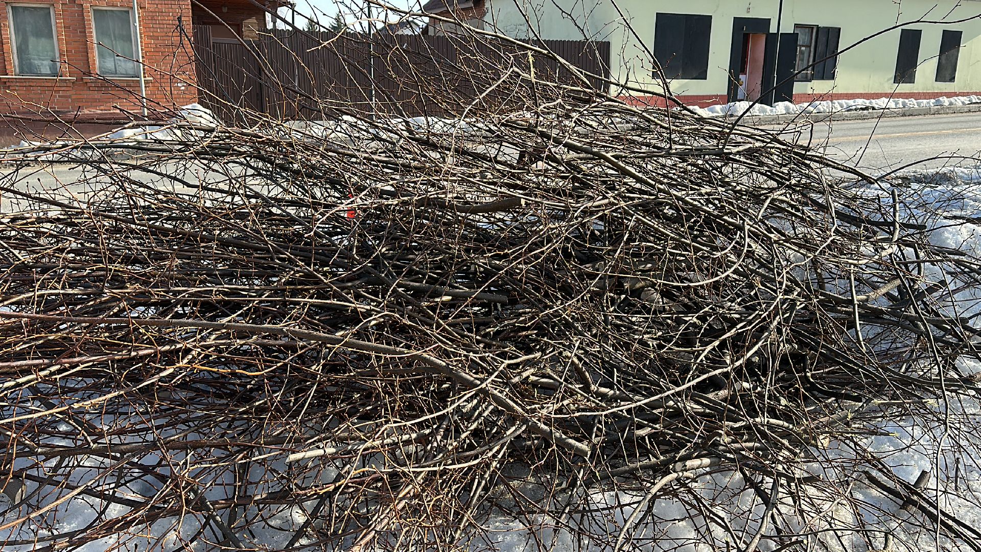 Клин, общество, опиловка деревьев, ЖКХ,