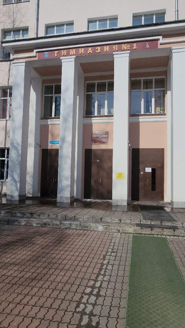 гимназия №1, Алина Русанова, неделя добрых дел, маскировочные сети, плетение сетей, Жуковяз,