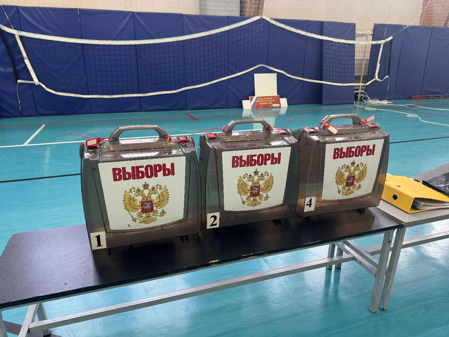 выборы, шаховская, уик, подготовка к выборам,