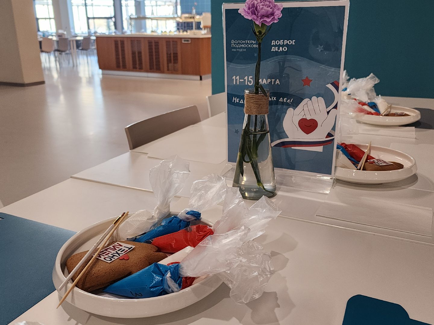 неделя добрых дел, маскировочные сети, масленица, технолицей,