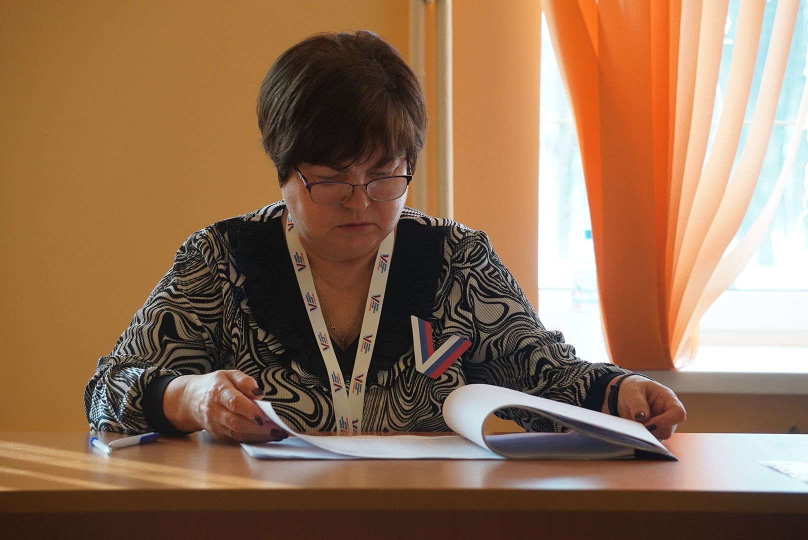 Выборы, Городской округ Павловский Посад, Люди, Электрогорск, Дэг, Голосование,