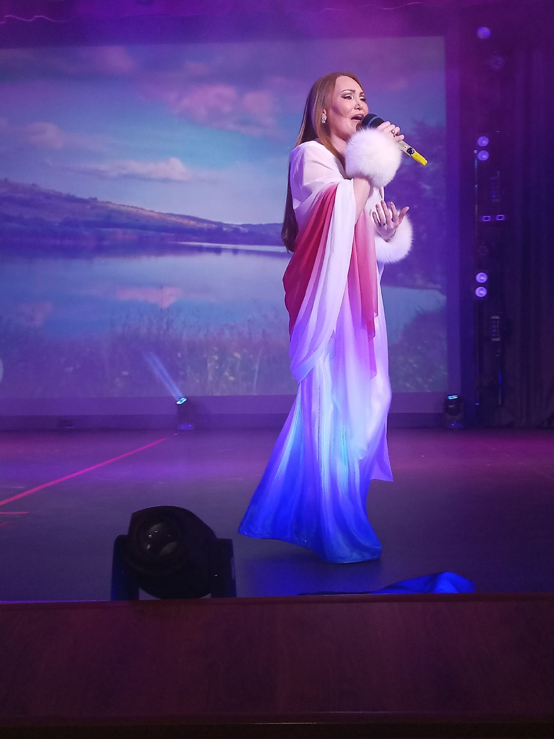 день культуры, Нечитайло, Назарова, Раменское