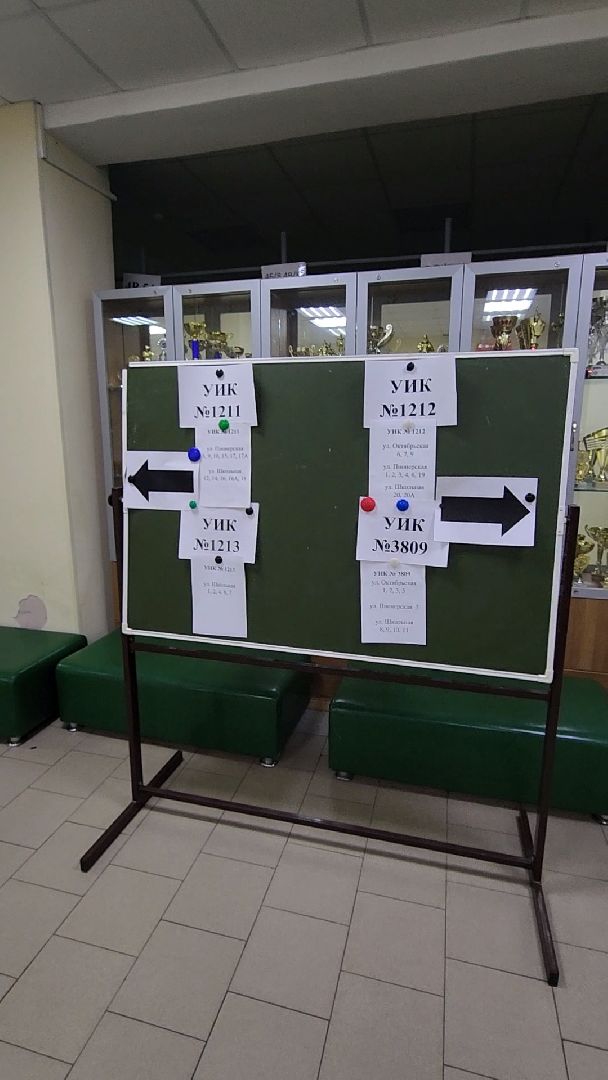 голосование, выборы, красногорск,