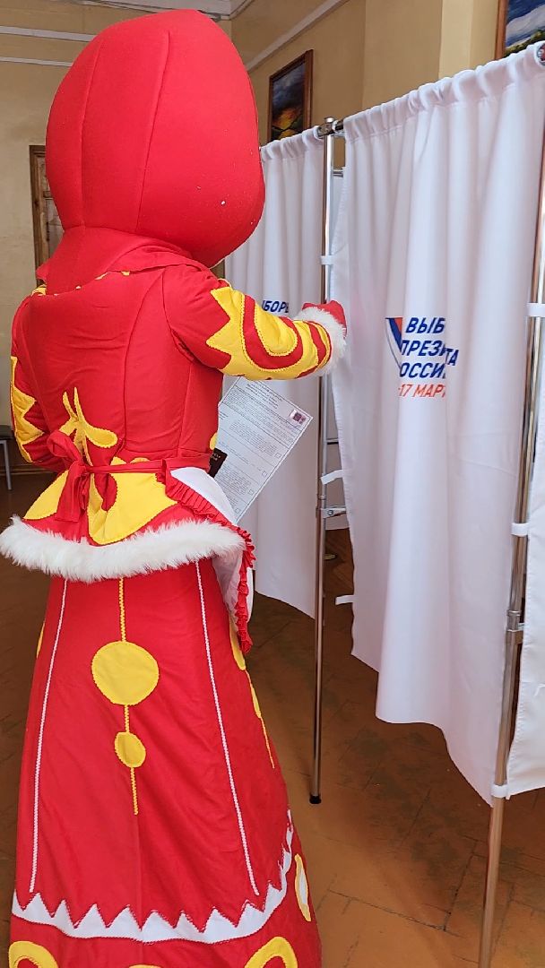 Красногорск, красногорушка, выборы, избирательный участок,