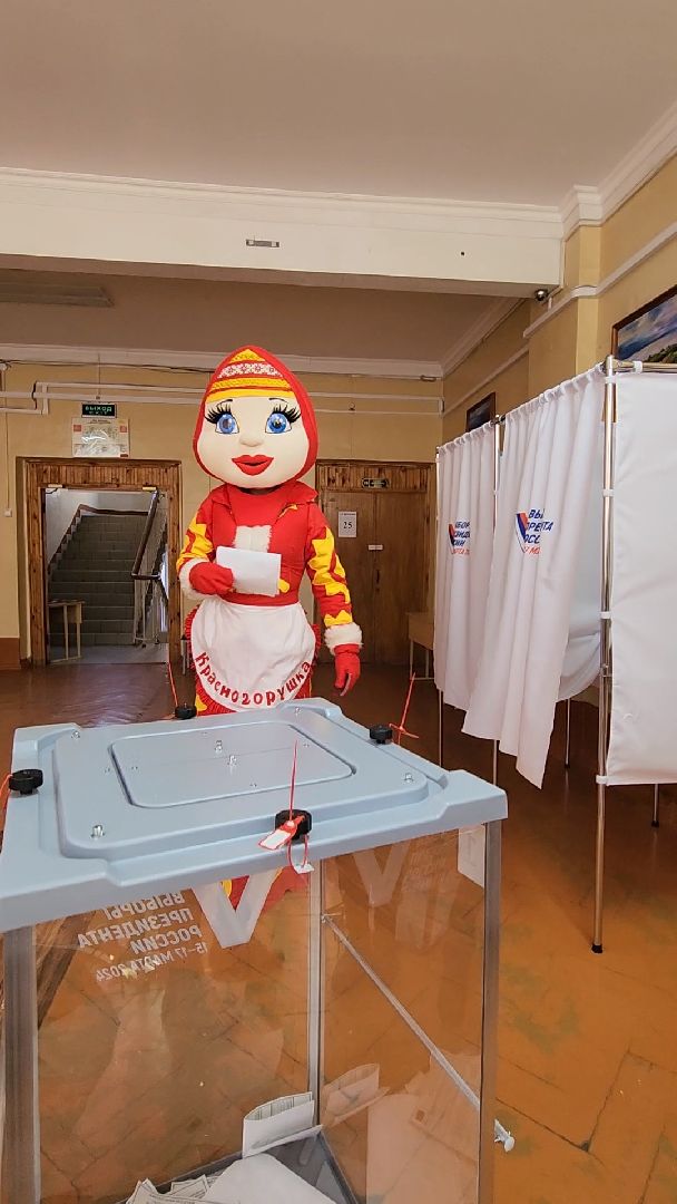 Красногорск, красногорушка, выборы, избирательный участок,