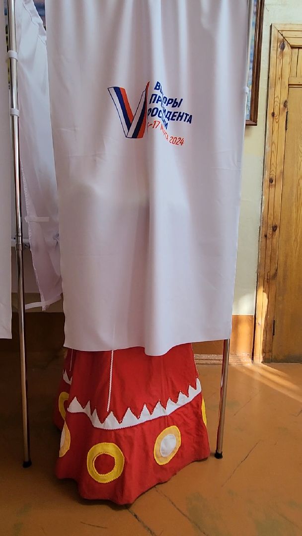 Красногорск, красногорушка, выборы, избирательный участок,