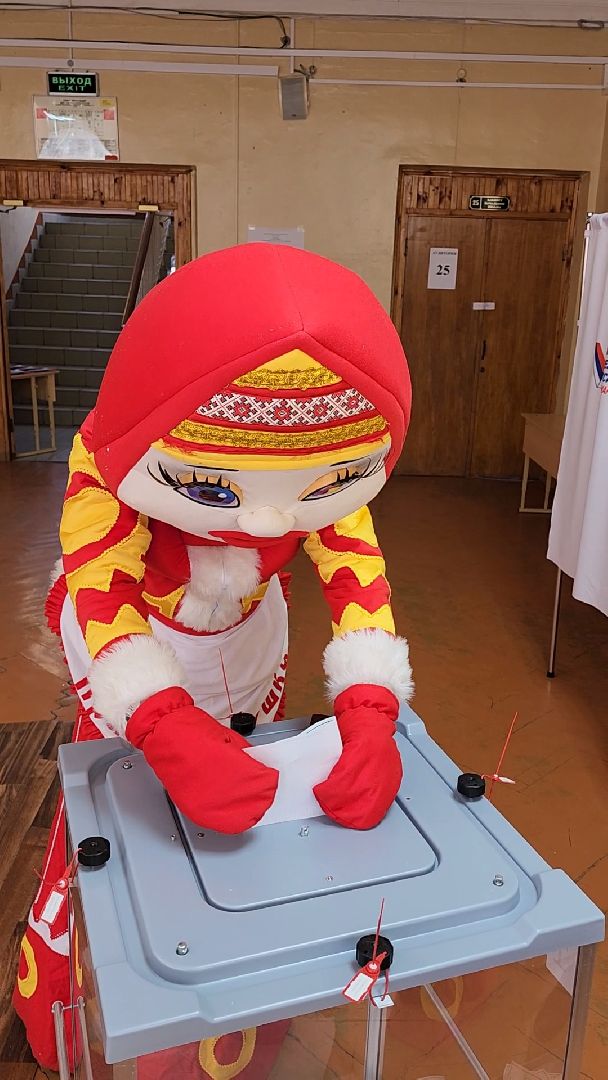 Красногорск, красногорушка, выборы, избирательный участок,