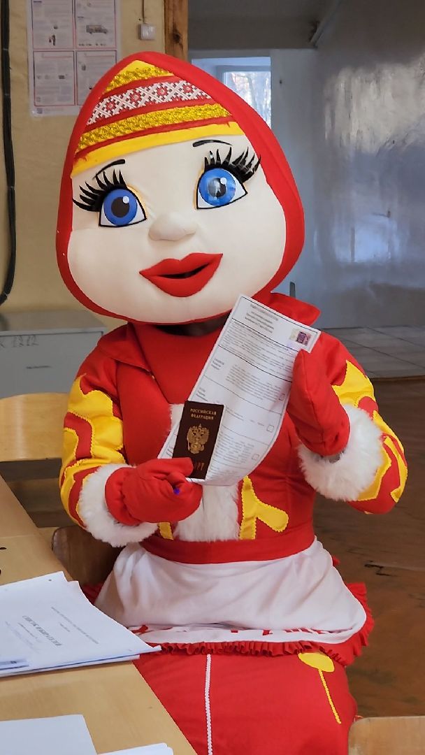 Красногорск, красногорушка, выборы, избирательный участок,