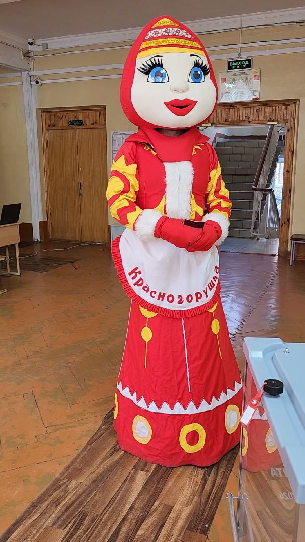 Красногорск, красногорушка, выборы, избирательный участок,