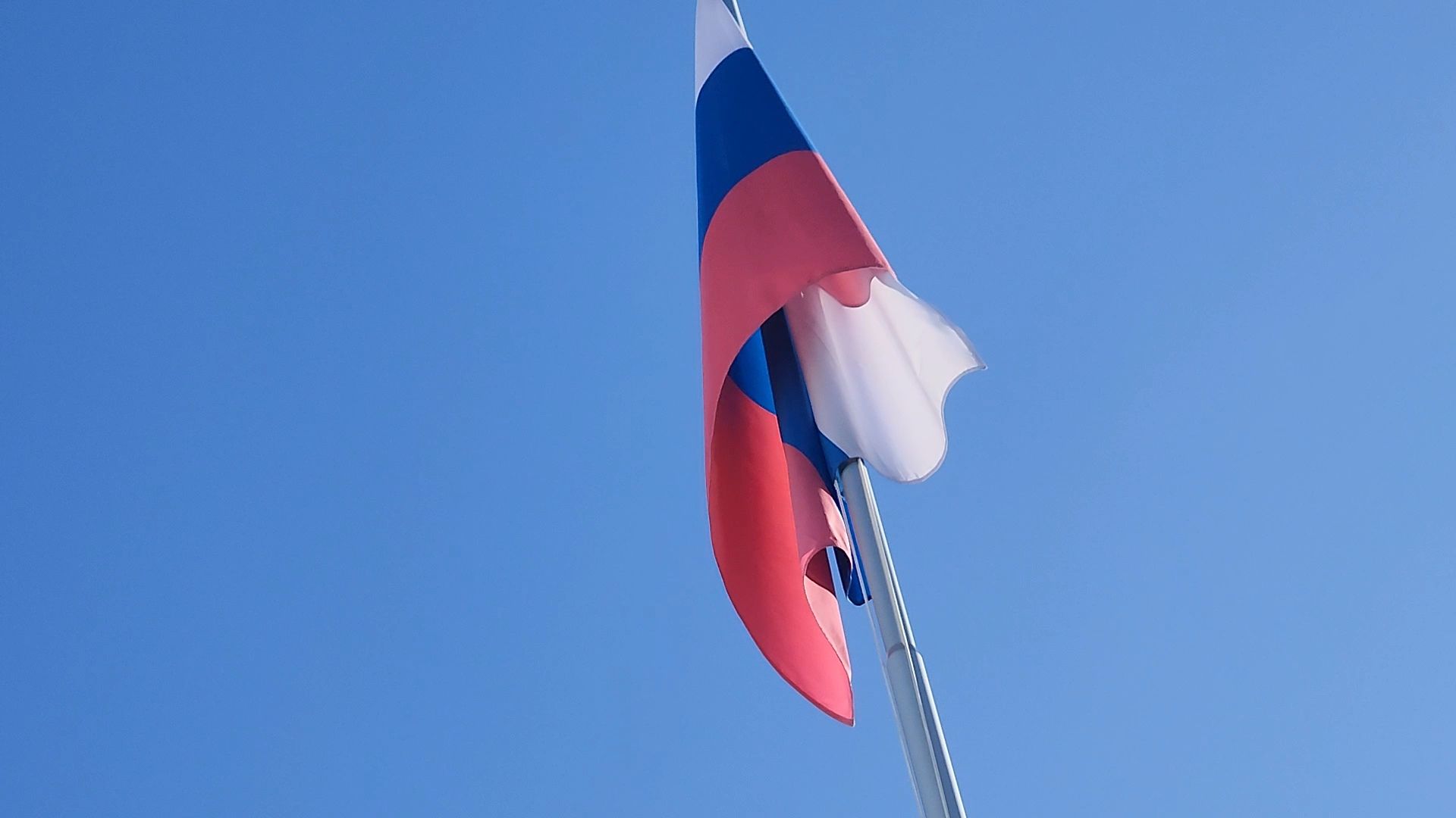 Голосование, Депутат, Дубна, выборы 2024,