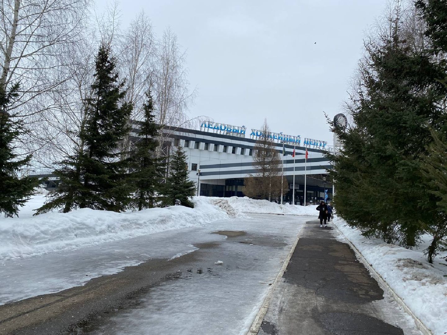 чехов, выборы, глава городского округа, михаил собакин, президент рф,