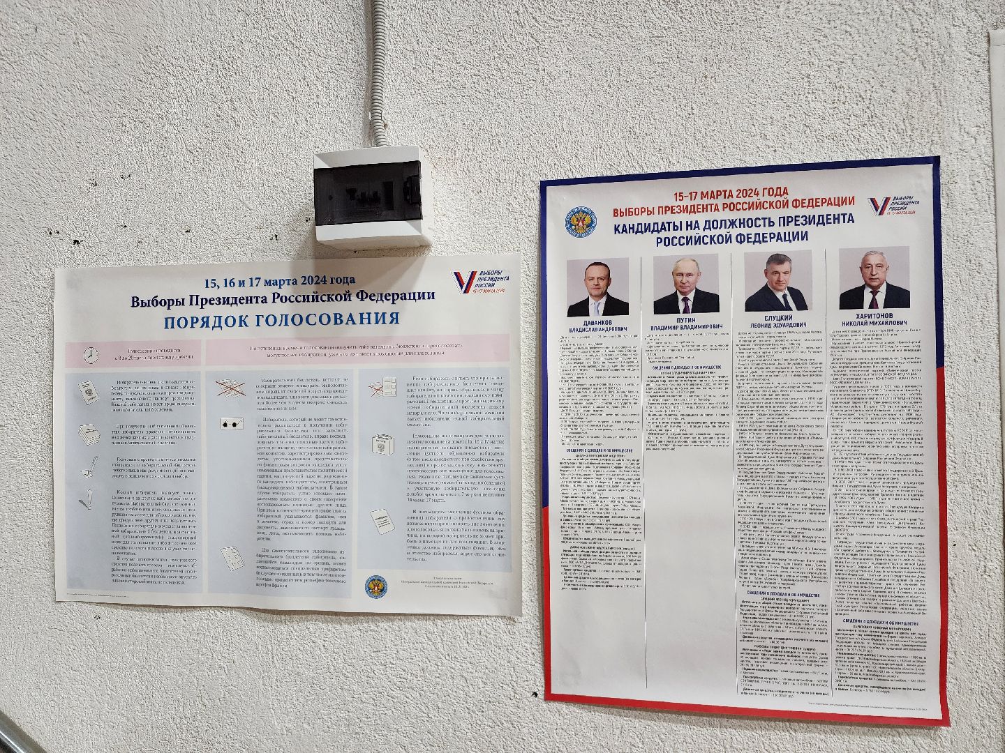 выборы, выборы президента, фрязино, голосование,