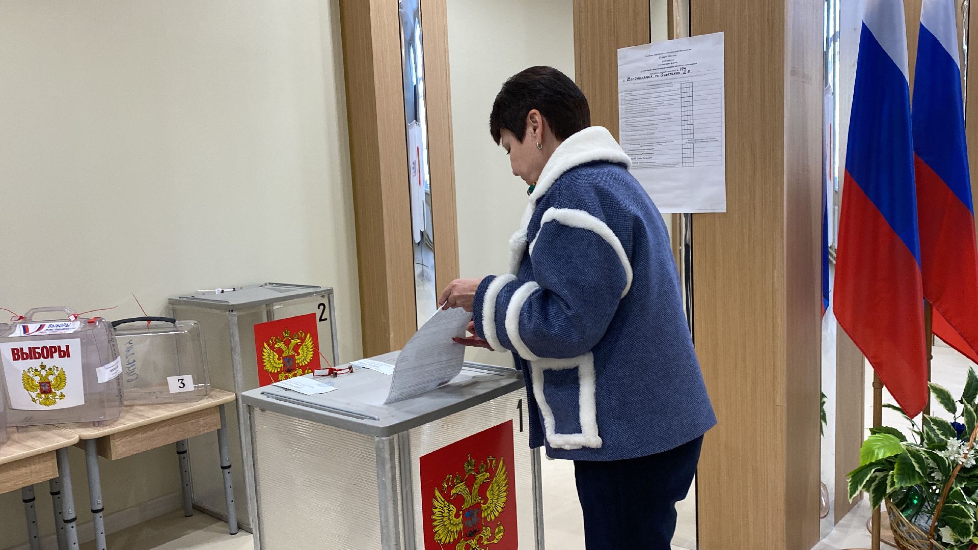 волоколамск, выборы, выборы 2024, выборы президента, выборы президента 2024,