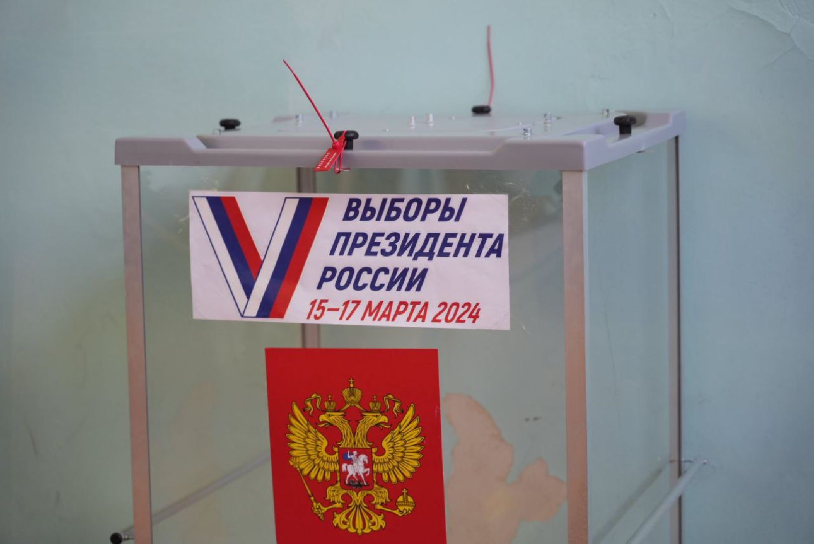 Выборы 2024, Подмосковье выбирает, Гражданская позиция, Выборы Президента,
