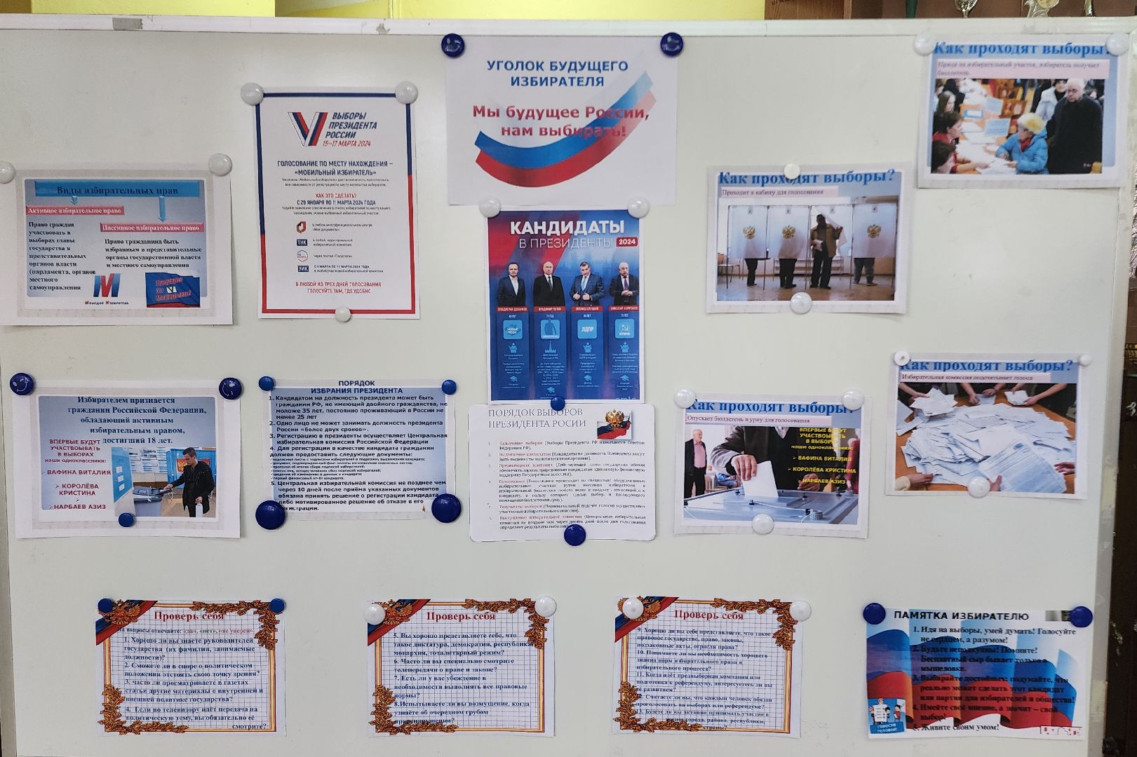 выборы 2024, выборы президента, выборы президента 2024, выборы президента россии, ЦИК, УИК, Председатель УИК, Домодедово, Сош 7, Прдмосковье, ДЭГ, Голосование на дому,