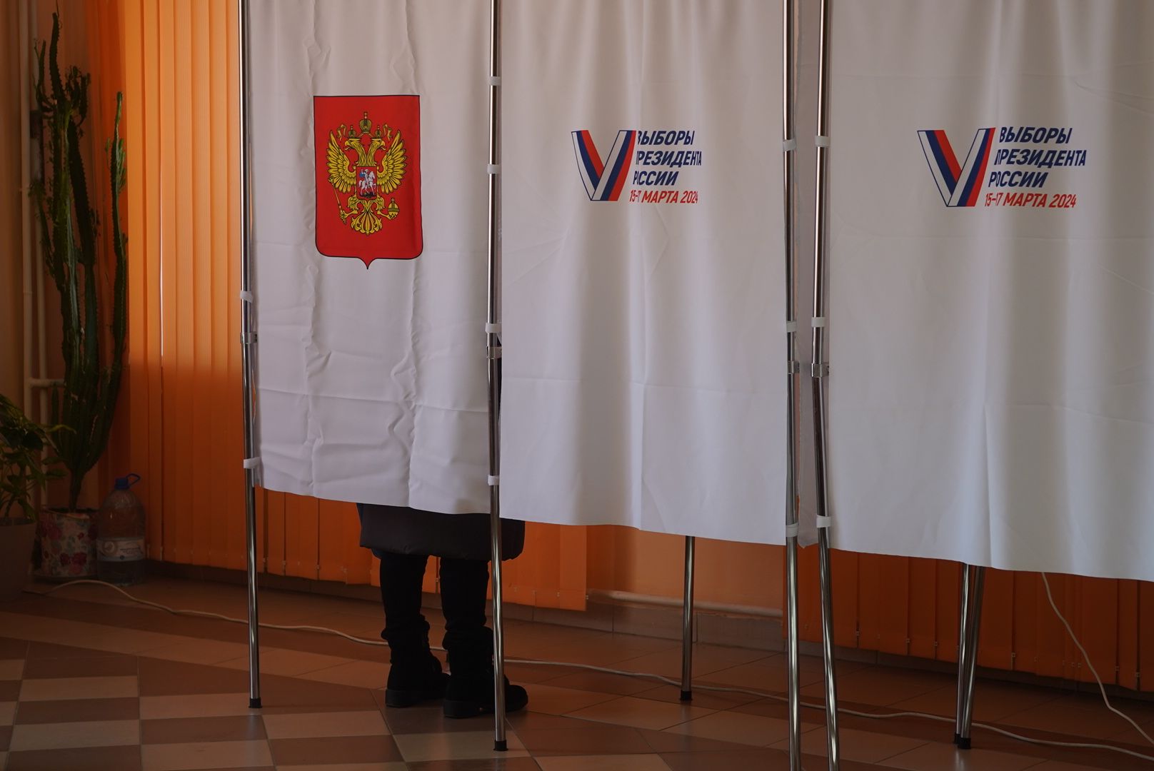 Глава, Выборы, Дэг, Городской округ Павловский Посад, Электрогорск,