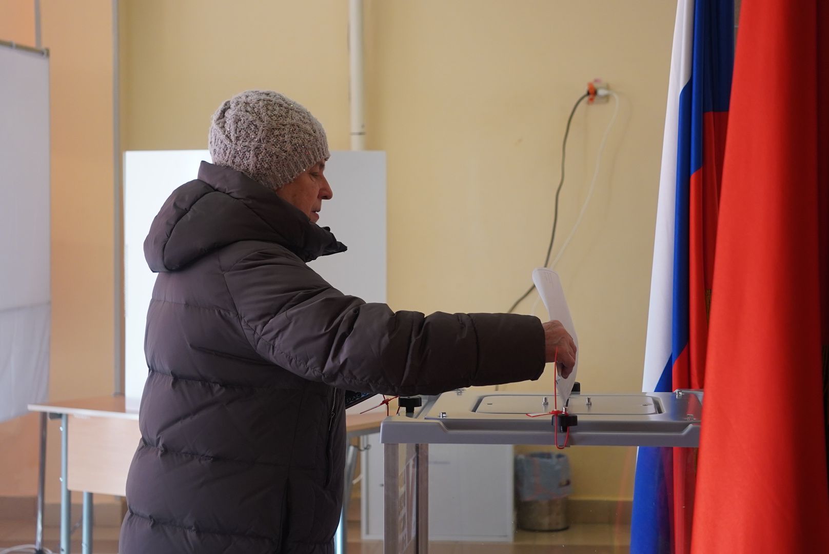 Глава, Выборы, Дэг, Городской округ Павловский Посад, Электрогорск,