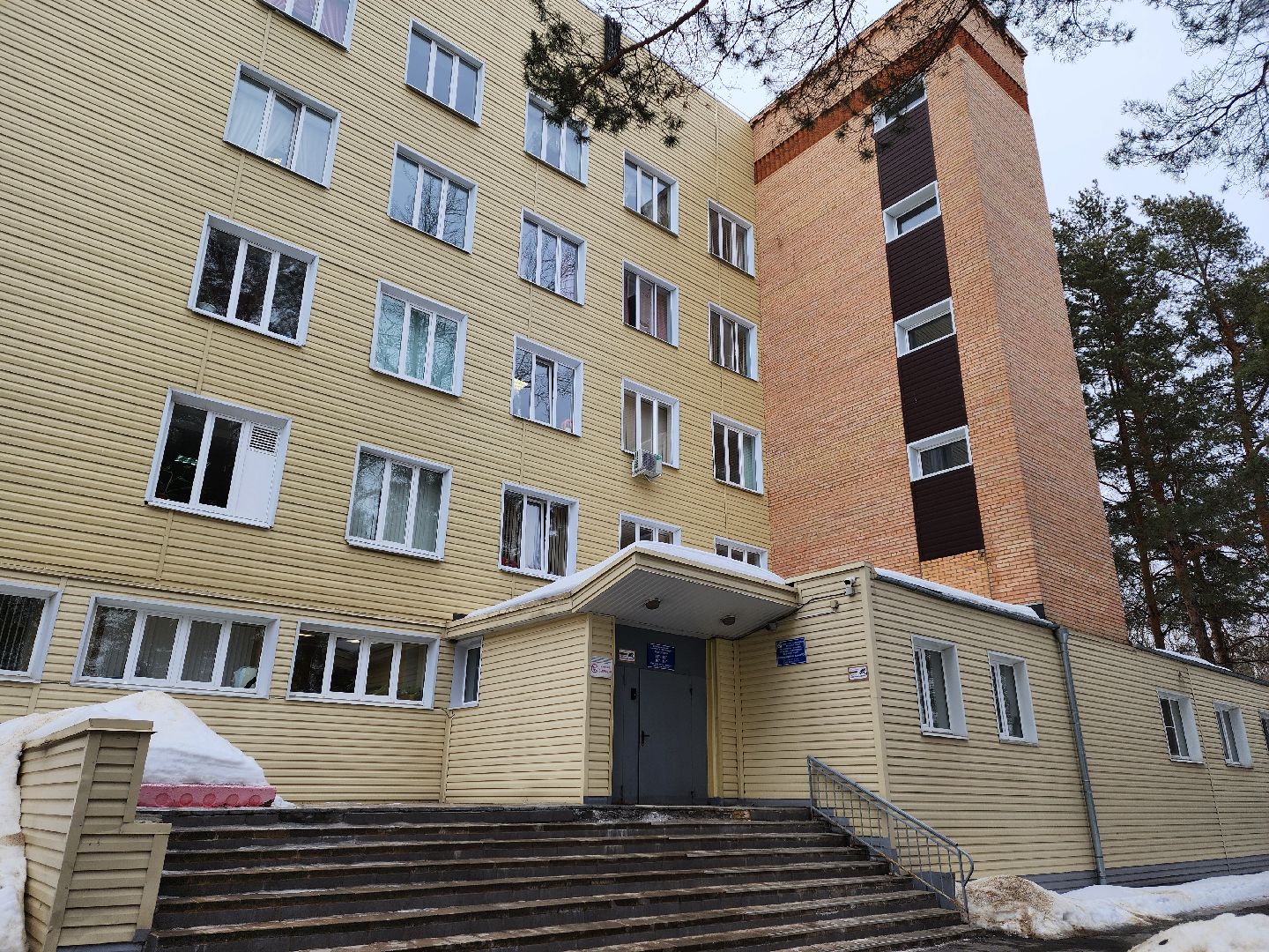 воскресенск, выборы президента 2024, врачи, дистанционное электронное голосование, жители,