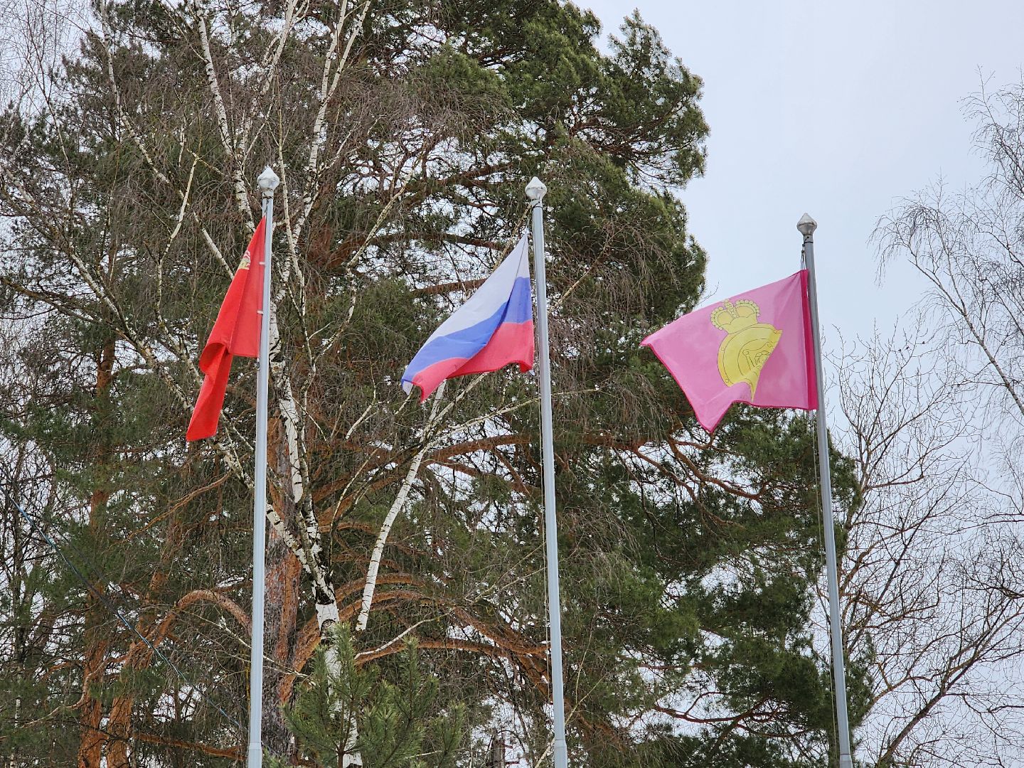 воскресенск, выборы президента 2024, врачи, дистанционное электронное голосование, жители,